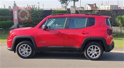 جيب رينيجيد